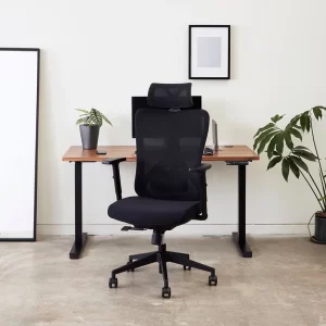 Black Ergonomic Office Chair with Adjustability for Home Office Setup